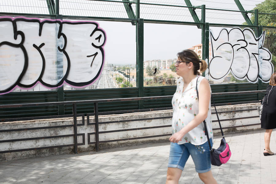 Policía Local de Granada investiga ahora quién o quiénes pueden estar detrás de este acto vandálico
