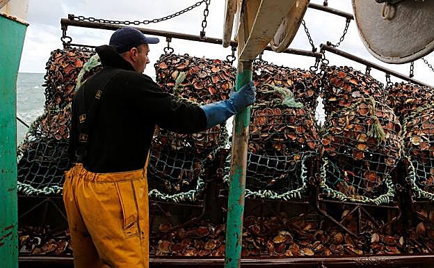 Pesca de la vieira en en Canal de la Mancha.