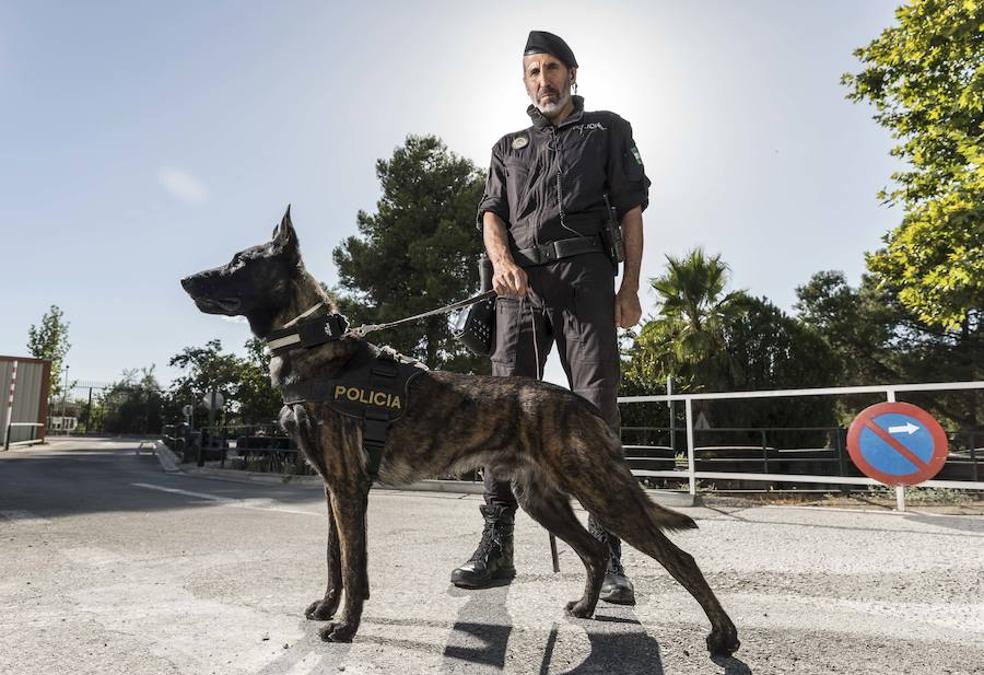 El policía Eduardo Avellaneda posa junto al agente canino Diésel.