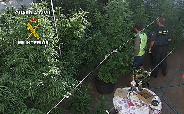 La Guardia Civil interviene 91 kilos de marihuana en Puente Génave y Martos