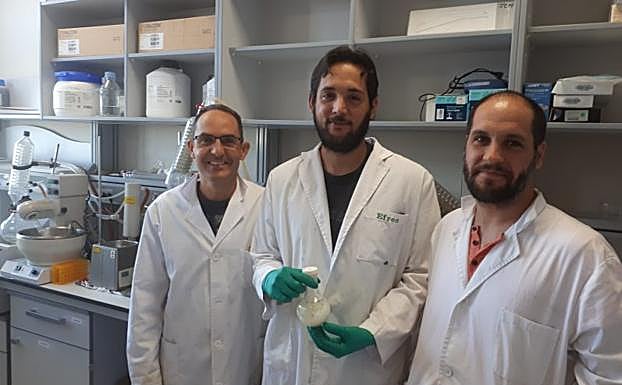 Obtienen un fármaco en Granada que consigue resultados positivos para tratar enfermedades neurodegenerativas