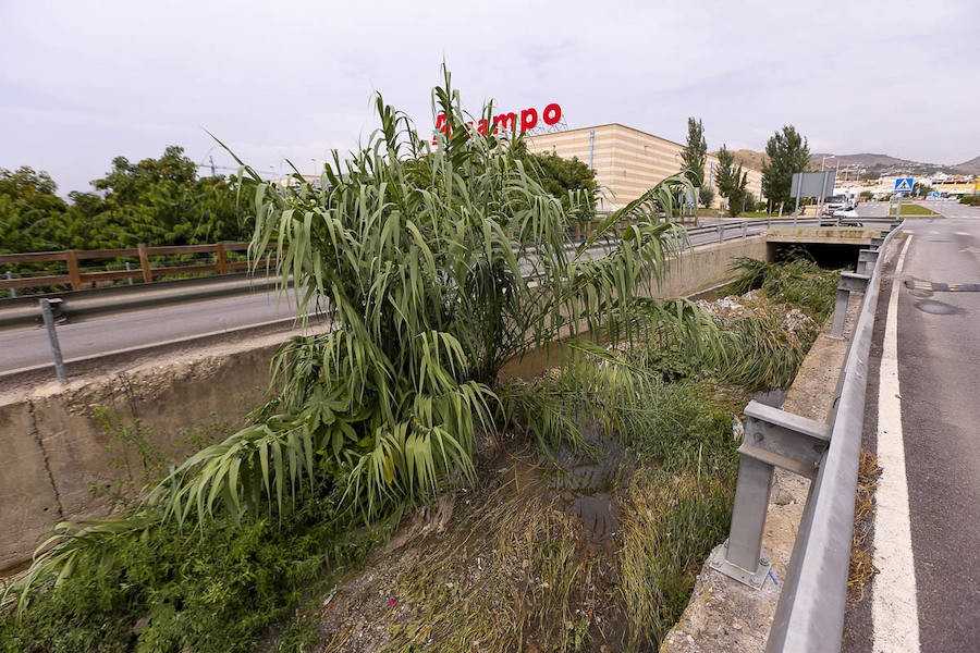 Los pueblos reclaman el mantenimiento de sus cauces y advierten del peligro que se corre al tenerlos sucios