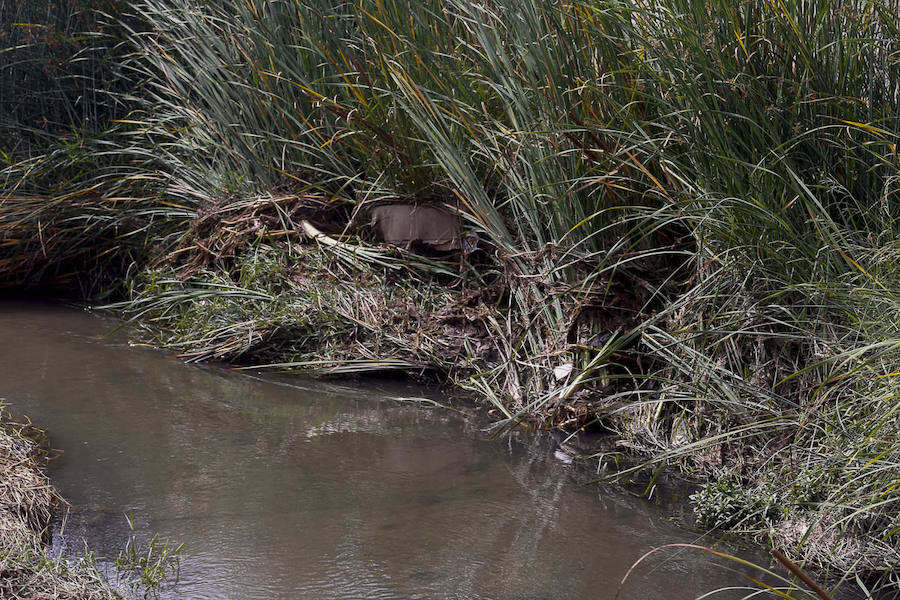 Los pueblos reclaman el mantenimiento de sus cauces y advierten del peligro que se corre al tenerlos sucios
