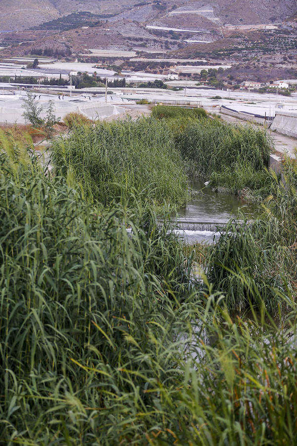 Los pueblos reclaman el mantenimiento de sus cauces y advierten del peligro que se corre al tenerlos sucios