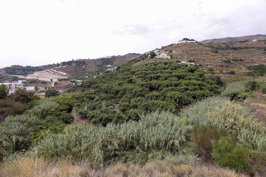 Los pueblos reclaman el mantenimiento de sus cauces y advierten del peligro que se corre al tenerlos sucios