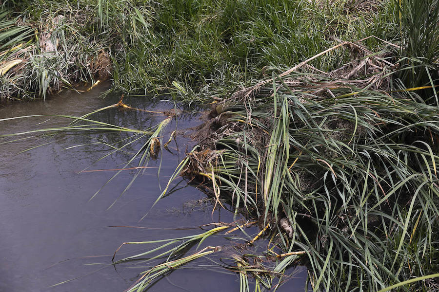 Los pueblos reclaman el mantenimiento de sus cauces y advierten del peligro que se corre al tenerlos sucios