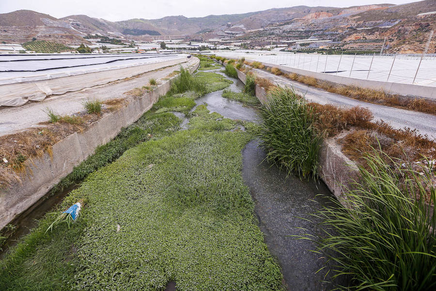 Los pueblos reclaman el mantenimiento de sus cauces y advierten del peligro que se corre al tenerlos sucios