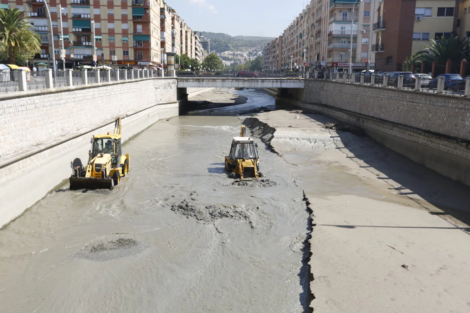 Labores de limpieza en el cauce del Genil para facilitar el paso del agua