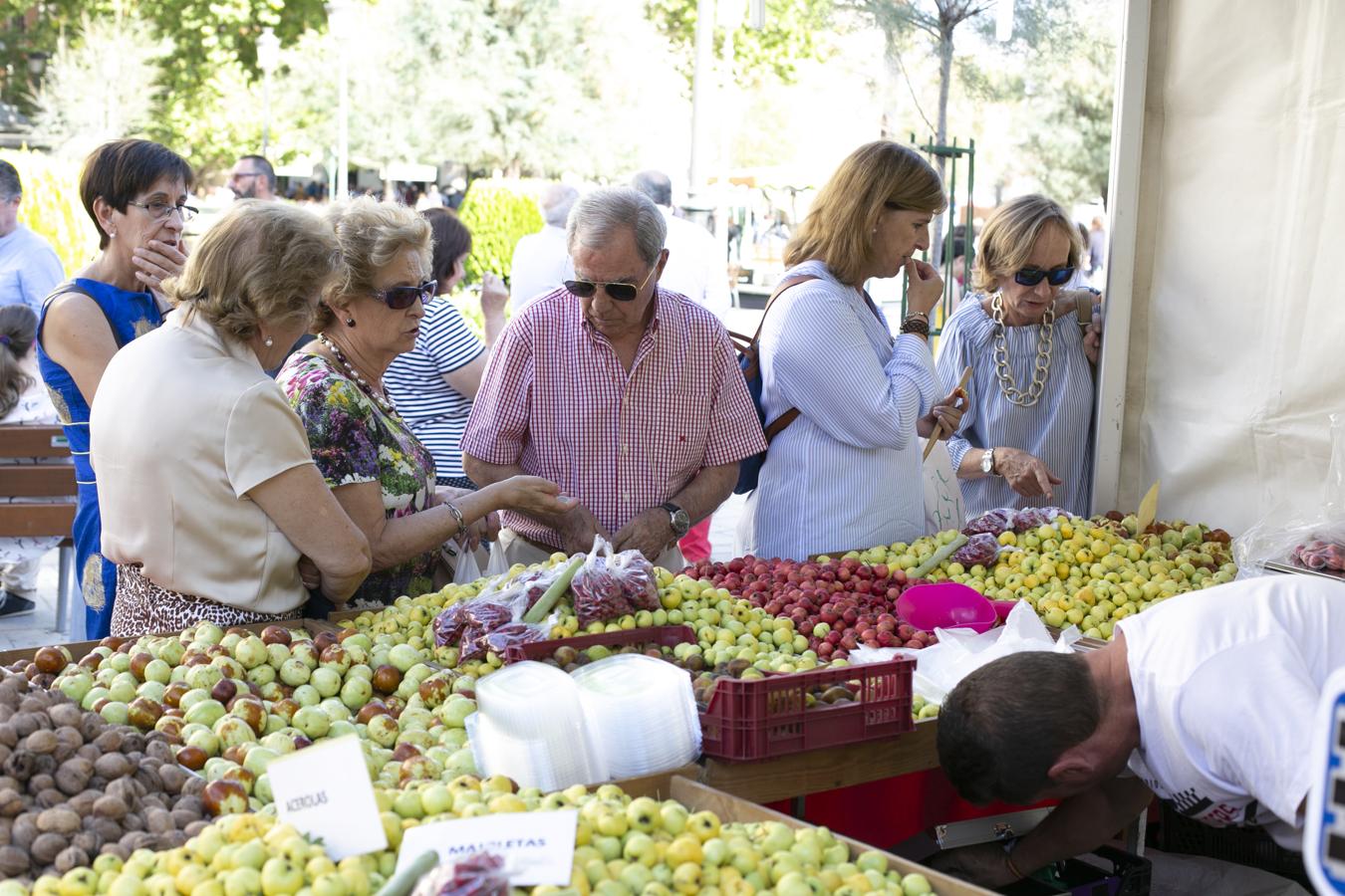 Cientos de granadinos y turistas se han aproximado este fin de semana a los distintos puestos de frutas y dulces otoñales que se han dispuesto en la capital