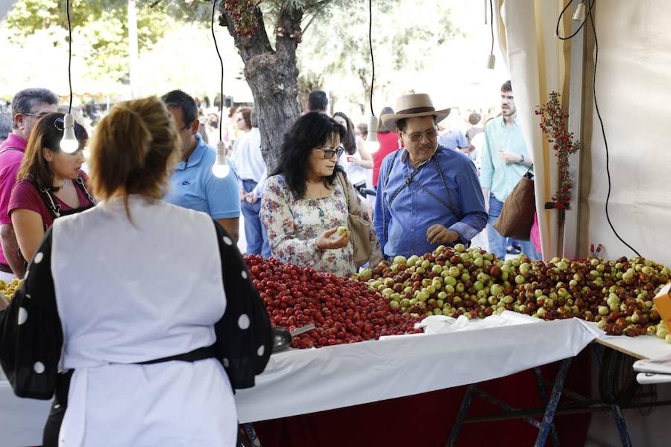 Cientos de granadinos y turistas se han aproximado este fin de semana a los distintos puestos de frutas y dulces otoñales que se han dispuesto en la capital