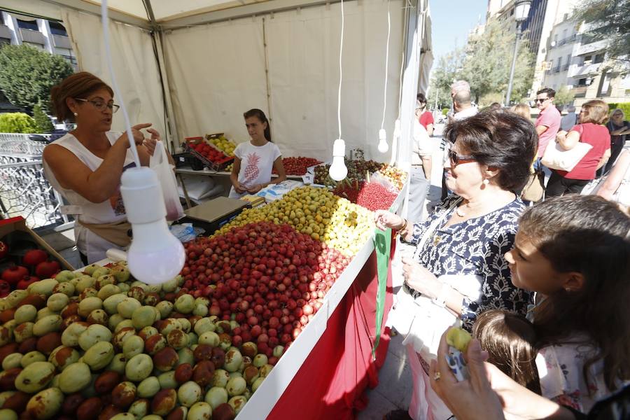 Cientos de granadinos y turistas se han aproximado este fin de semana a los distintos puestos de frutas y dulces otoñales que se han dispuesto en la capital