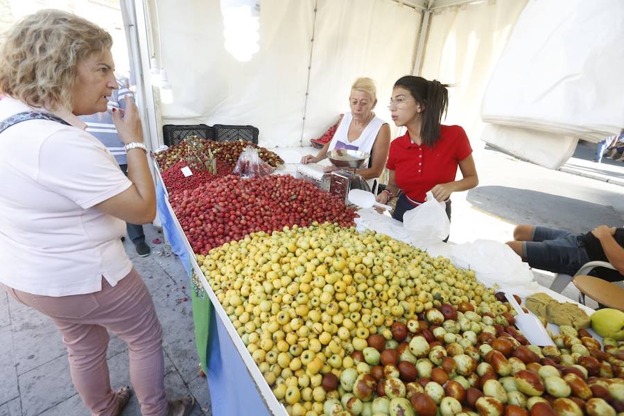 Cientos de granadinos y turistas se han aproximado este fin de semana a los distintos puestos de frutas y dulces otoñales que se han dispuesto en la capital