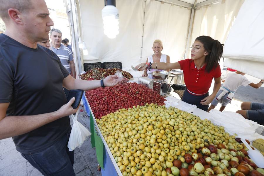 Cientos de granadinos y turistas se han aproximado este fin de semana a los distintos puestos de frutas y dulces otoñales que se han dispuesto en la capital