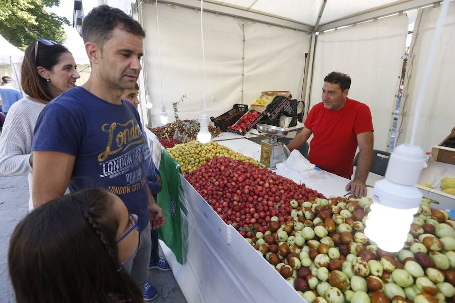 Cientos de granadinos y turistas se han aproximado este fin de semana a los distintos puestos de frutas y dulces otoñales que se han dispuesto en la capital