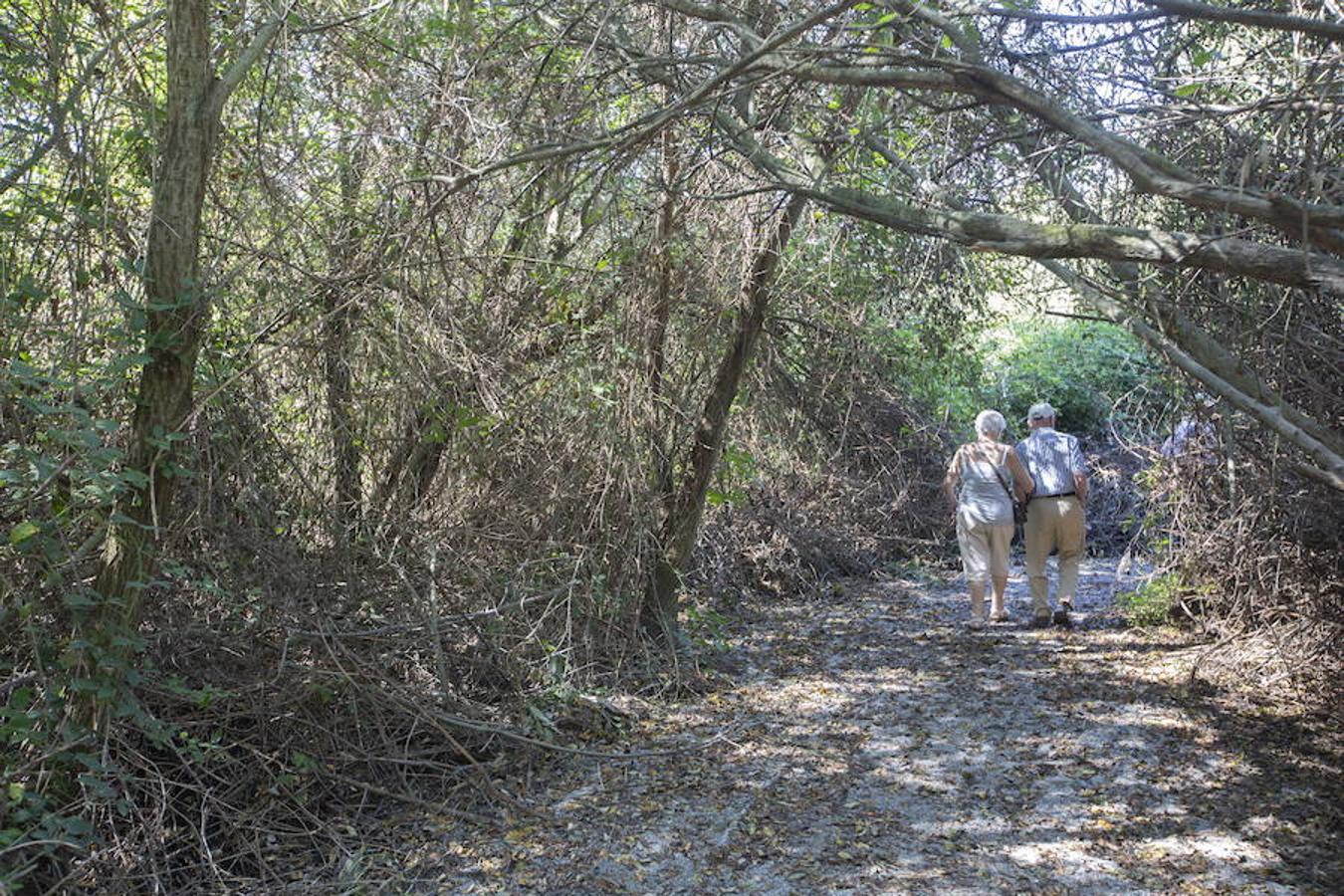 La ruta del Manut transcurre por los alrededores de la laguna del Padul, dón de además se puede disfrutar de la flora, los yacimientos ibero-romanos y observas los restos de los Mamut Lanudos.