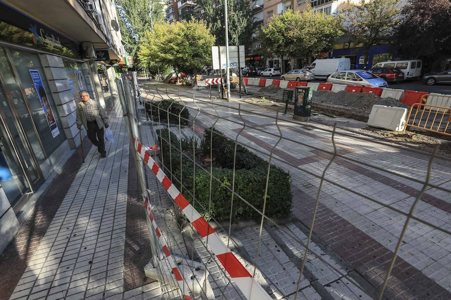 La reforma de la antigua carretera de Málaga ha ocasionado la alteración de los vecinos al percatarse de que los trabajadores de Emasagra han talado varios árboles 