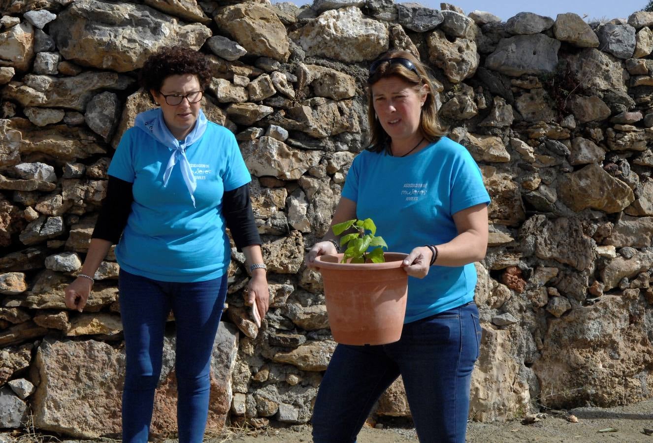 250 mujeres pertenecientes a 35 asociaciones alpujarreñas se han dado cita en Juviles para conocer los encantos del pueblo, asistir a charlas, al teatro y el cante y participar en varios talleres