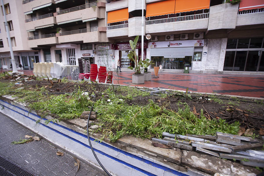 En apenas dos meses, «para Navidad» según la alcaldesa Trinidad Herrera, el paseo marítimo del Altillo, un lugar emblemático para Almuñécar, estrenará nueva imagen