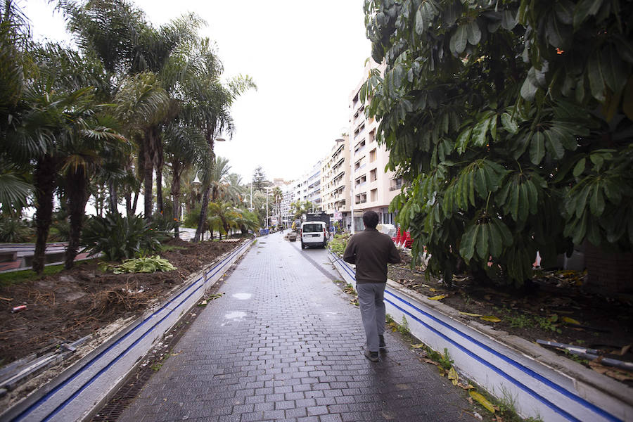 En apenas dos meses, «para Navidad» según la alcaldesa Trinidad Herrera, el paseo marítimo del Altillo, un lugar emblemático para Almuñécar, estrenará nueva imagen