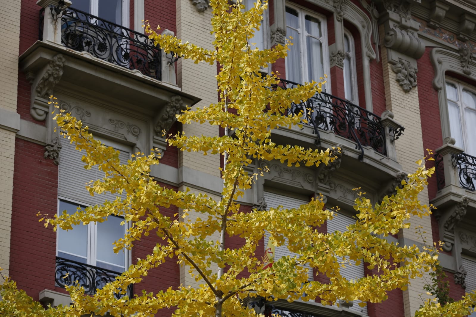 La capital luce por sus calles la estampa clásica del otoño que amarillea sus árboles