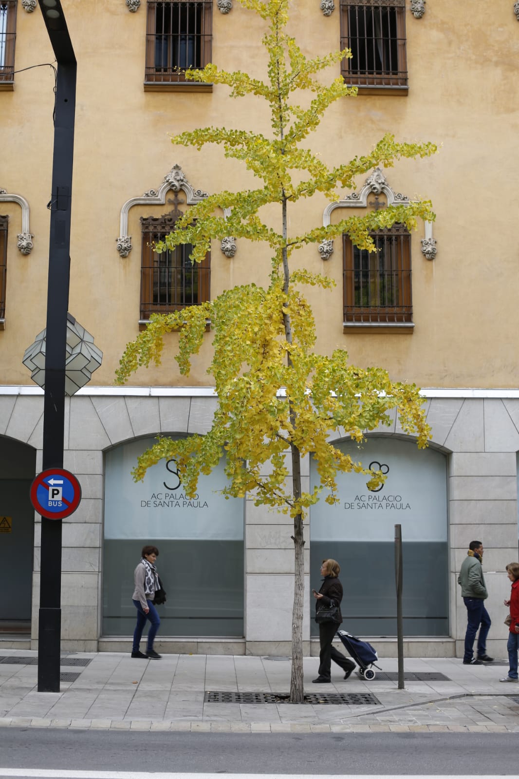 La capital luce por sus calles la estampa clásica del otoño que amarillea sus árboles