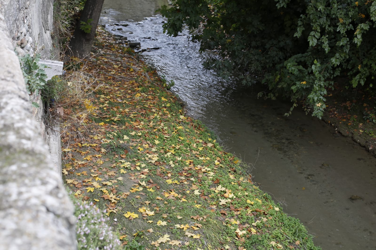 La capital luce por sus calles la estampa clásica del otoño que amarillea sus árboles