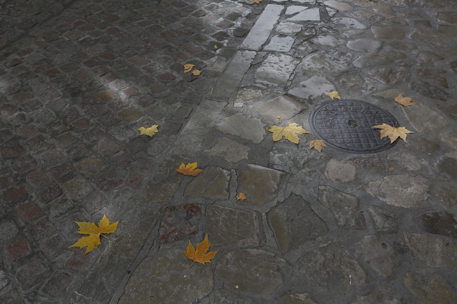 La capital luce por sus calles la estampa clásica del otoño que amarillea sus árboles