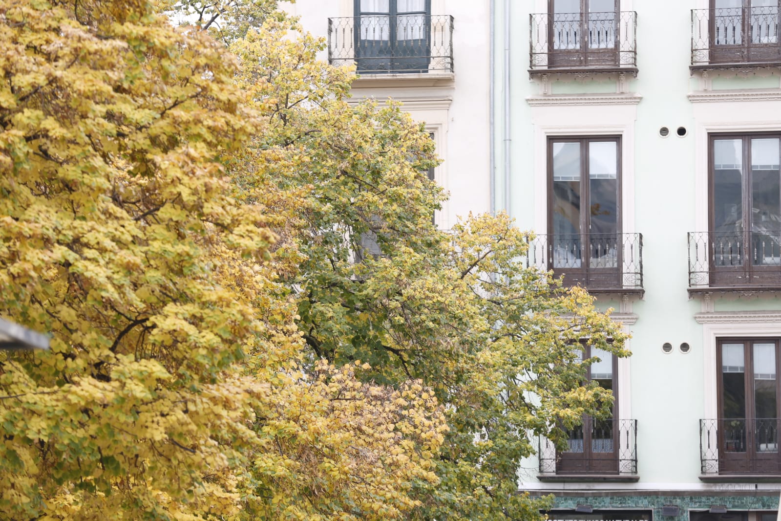 La capital luce por sus calles la estampa clásica del otoño que amarillea sus árboles