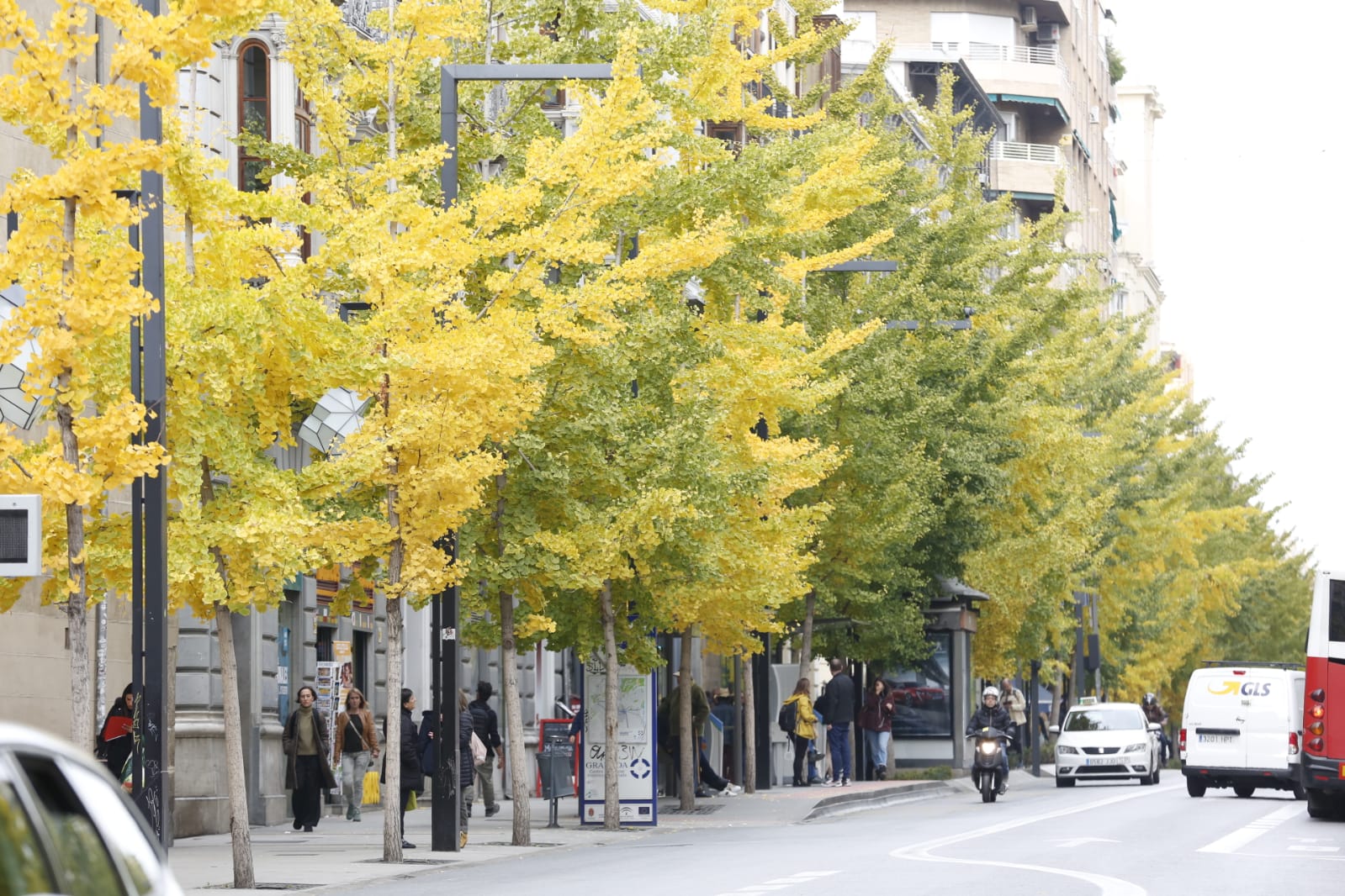 La capital luce por sus calles la estampa clásica del otoño que amarillea sus árboles