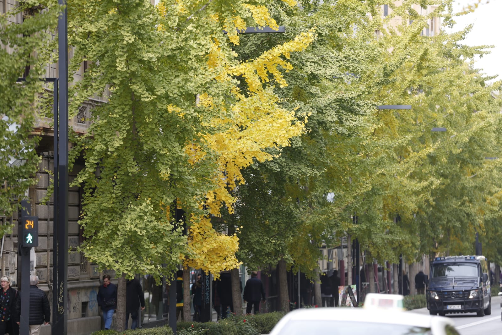 La capital luce por sus calles la estampa clásica del otoño que amarillea sus árboles