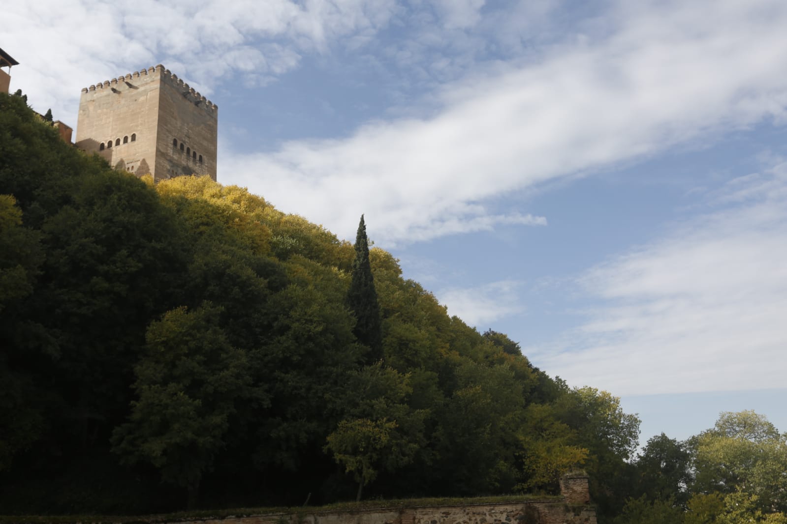 La capital luce por sus calles la estampa clásica del otoño que amarillea sus árboles
