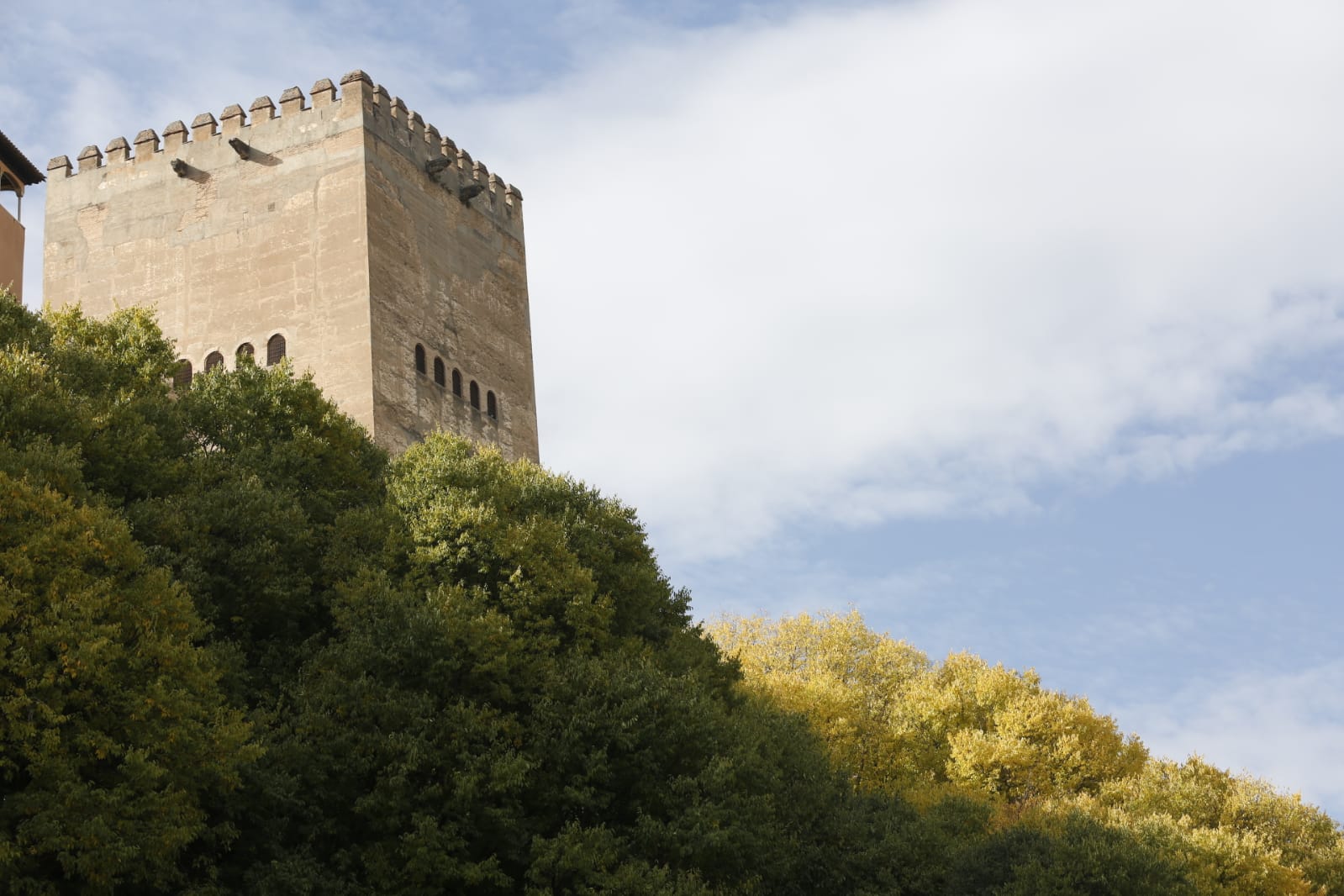 La capital luce por sus calles la estampa clásica del otoño que amarillea sus árboles