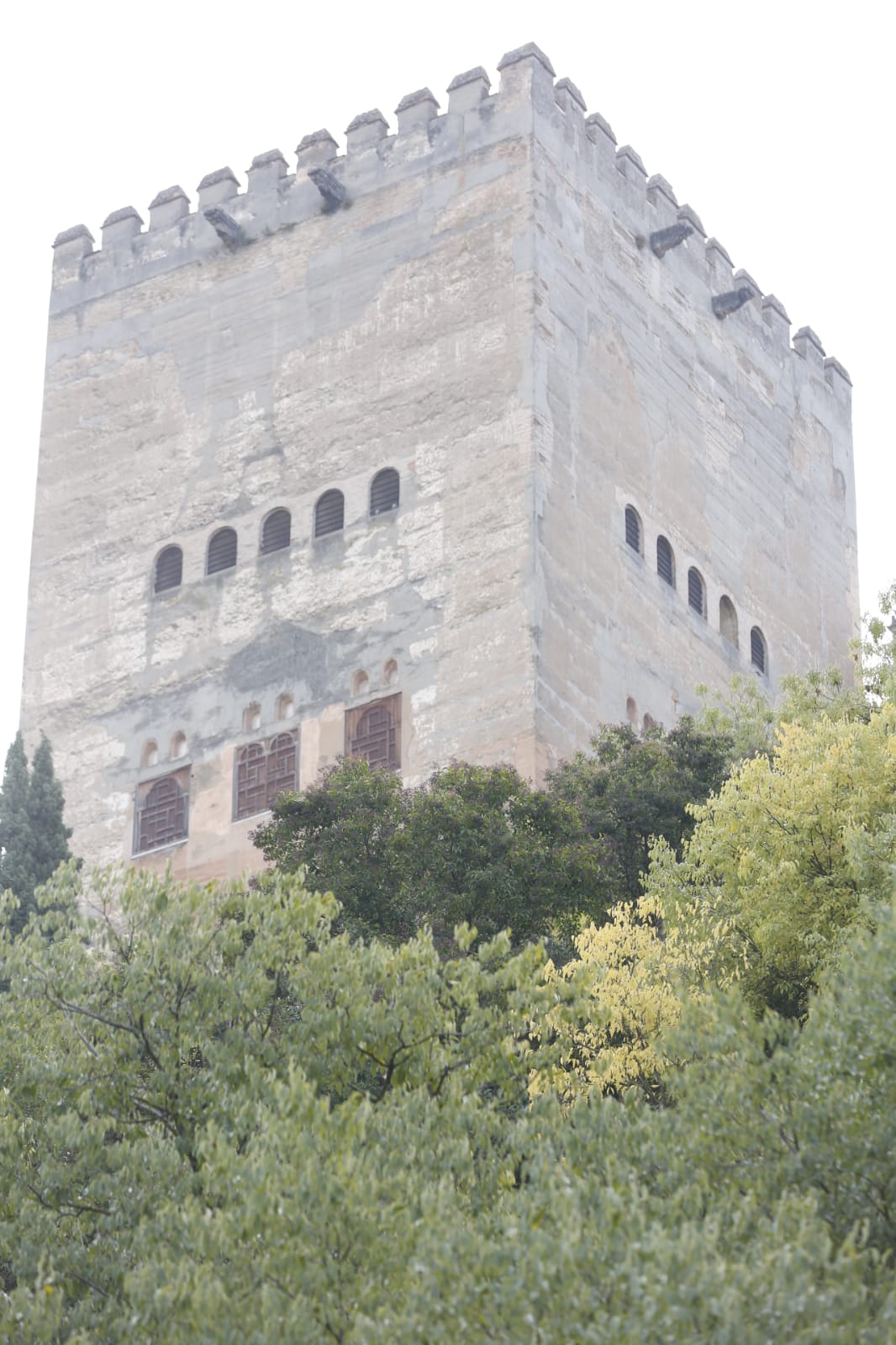 La capital luce por sus calles la estampa clásica del otoño que amarillea sus árboles