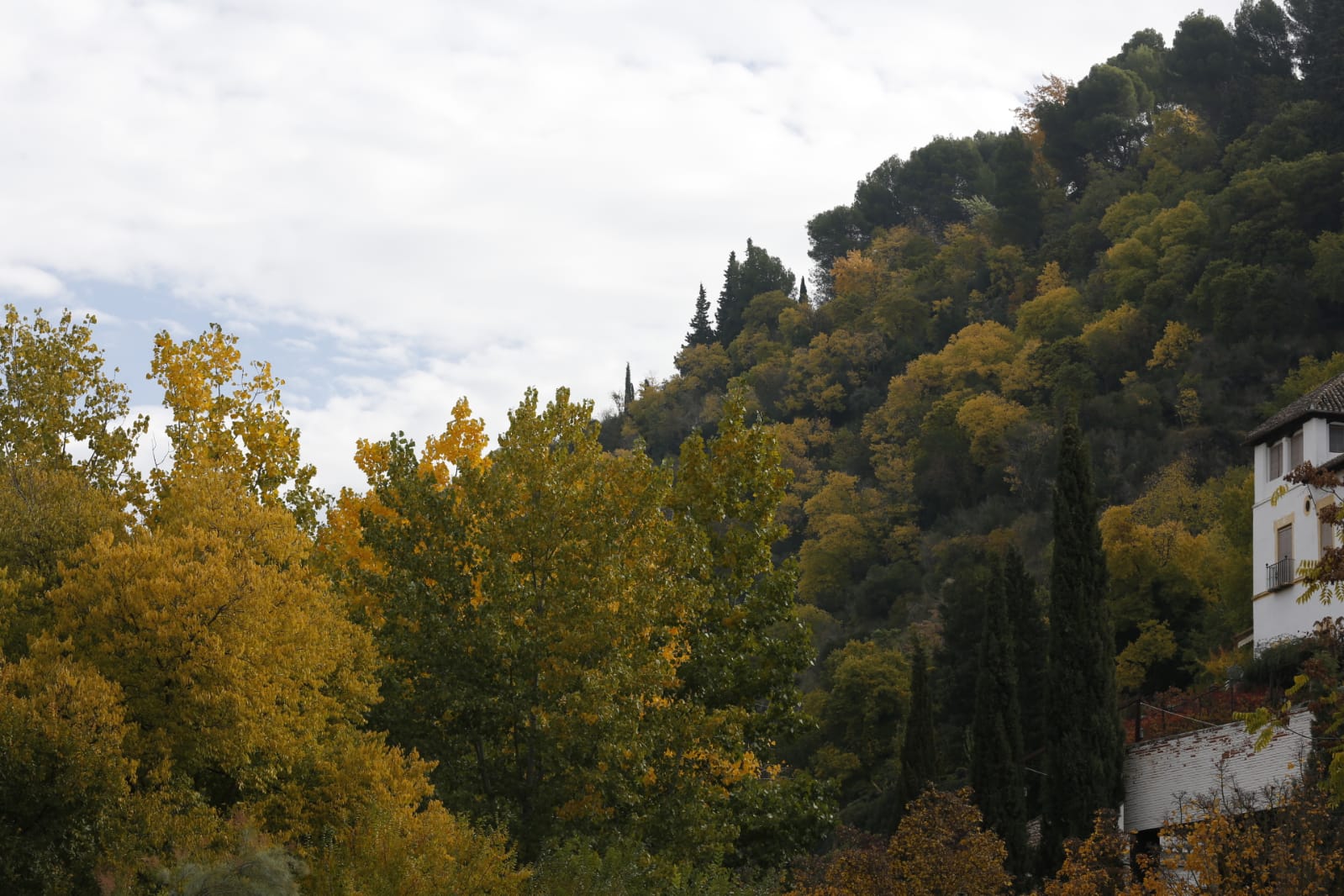 La capital luce por sus calles la estampa clásica del otoño que amarillea sus árboles
