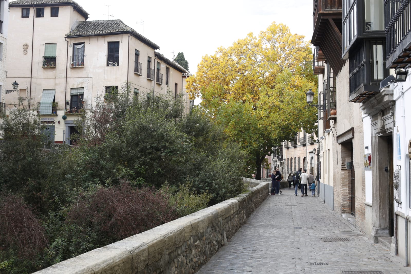 La capital luce por sus calles la estampa clásica del otoño que amarillea sus árboles