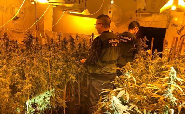 Detenidos con dos plantaciones de marihuana con 'última tecnología' en Arjona