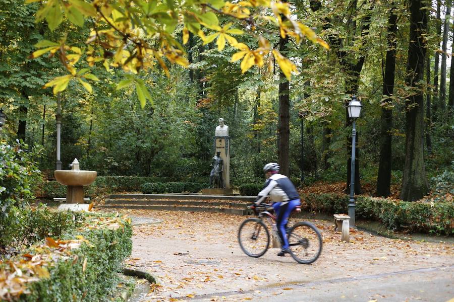 En estos días, los visitantes del bosque de la Alhambra pueden disfrutar de una estampa típica del otoño. Un gran manto de hojas caídas de los árboles se extiende sobre bancos, caminos, escaleras y entre los mismos árboles. El frío que cada vez es más patente y la lluvia han hecho que los árboles se muestren cada día más desnudos, para dejar en el suelo las hojas que nacieron con la primavera. Estampas que hacen más bello el bosque de la Alhambra. 