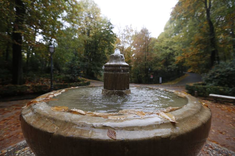 En estos días, los visitantes del bosque de la Alhambra pueden disfrutar de una estampa típica del otoño. Un gran manto de hojas caídas de los árboles se extiende sobre bancos, caminos, escaleras y entre los mismos árboles. El frío que cada vez es más patente y la lluvia han hecho que los árboles se muestren cada día más desnudos, para dejar en el suelo las hojas que nacieron con la primavera. Estampas que hacen más bello el bosque de la Alhambra. 