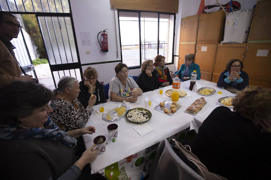 Los Álamos, Huerta Carrasco, Cuertel de Simancas, Santa Adela y La Garnatilla cuentan con estos talleres en los que los usuarios realizan actividades como costura, actividad física, bailes y se organizan excursiones