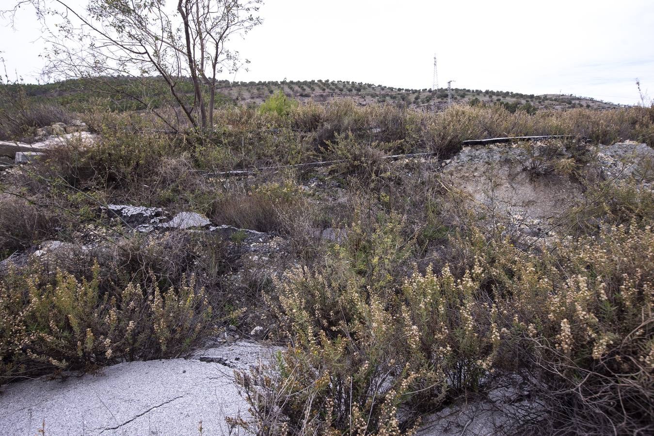 Fomento no se plantea repararlo