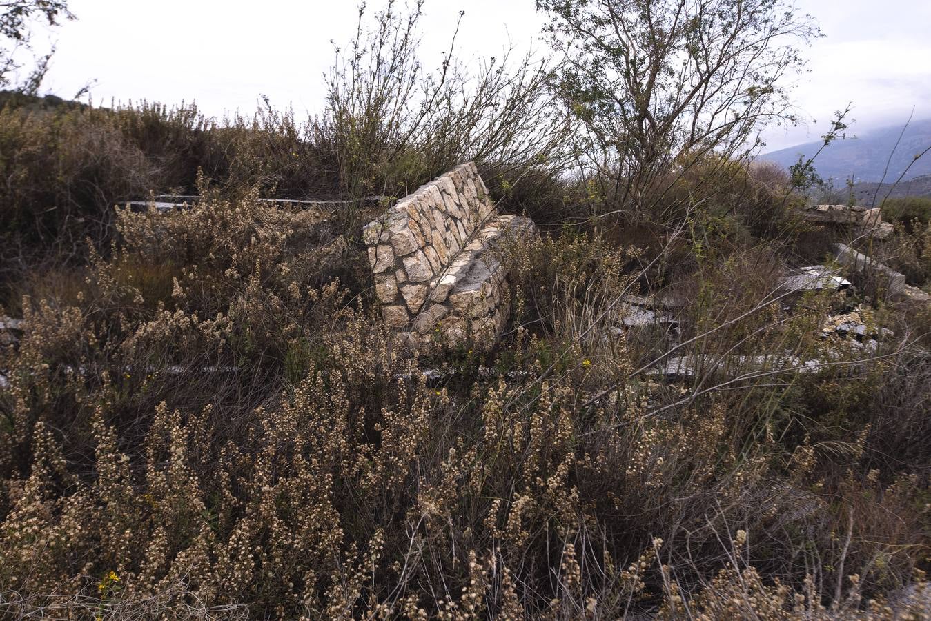 Fomento no se plantea repararlo