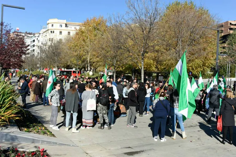 A la marcha se han unido los componentes de la plataforma antifacista del 3D