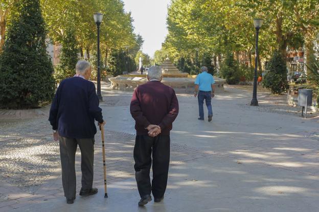 Abuelos pasean tranquilamente por un parque. 