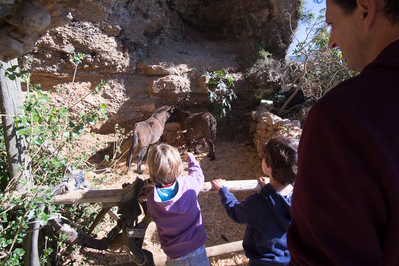 La pasada Navidad tuvieron que suspender el evento por el cierre del acceso y ahora será el próximo día 23 cuando pueda visitarse