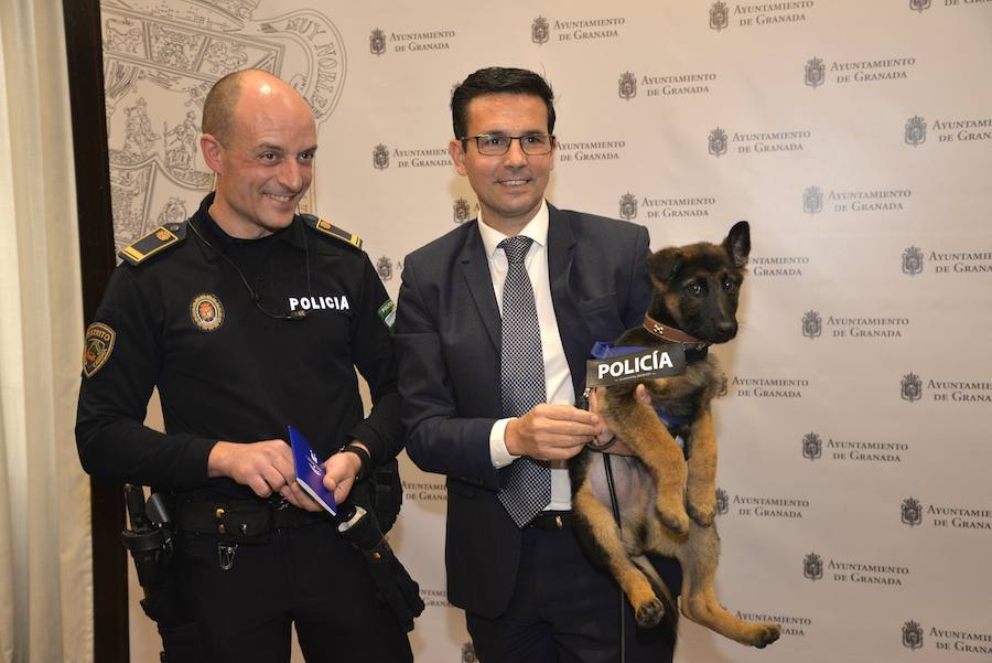 El alcalde de Granada, Francisco Cuenca, le ha hecho entrega a la Policía Local de la cartilla del animal, con la que se completa la regulación para que forme parte del cuerpo