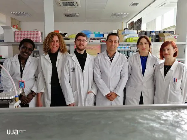 Equipo de investigadores de la Universidad de Jaén. 