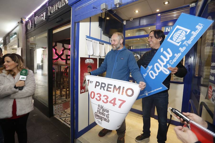El primer premio, el tercero, uncuarto y algunos quintos, han dejado dinero en la provincia granadina
