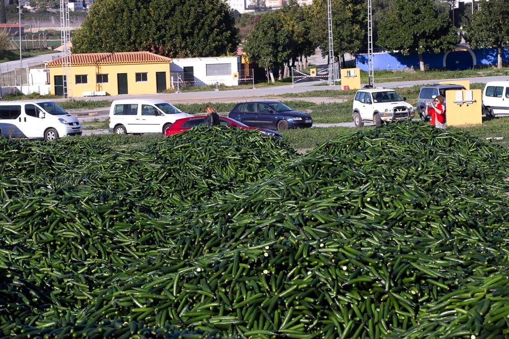 Confían en que la destrucción del producto tenga sus efectos y los precios suban porque ahora «les está costando el dinero» 