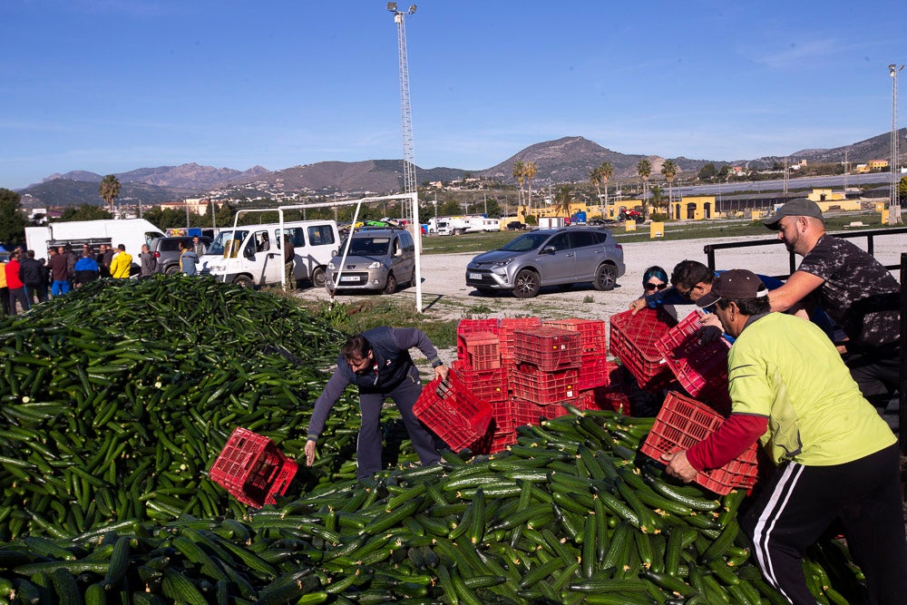 Confían en que la destrucción del producto tenga sus efectos y los precios suban porque ahora «les está costando el dinero» 