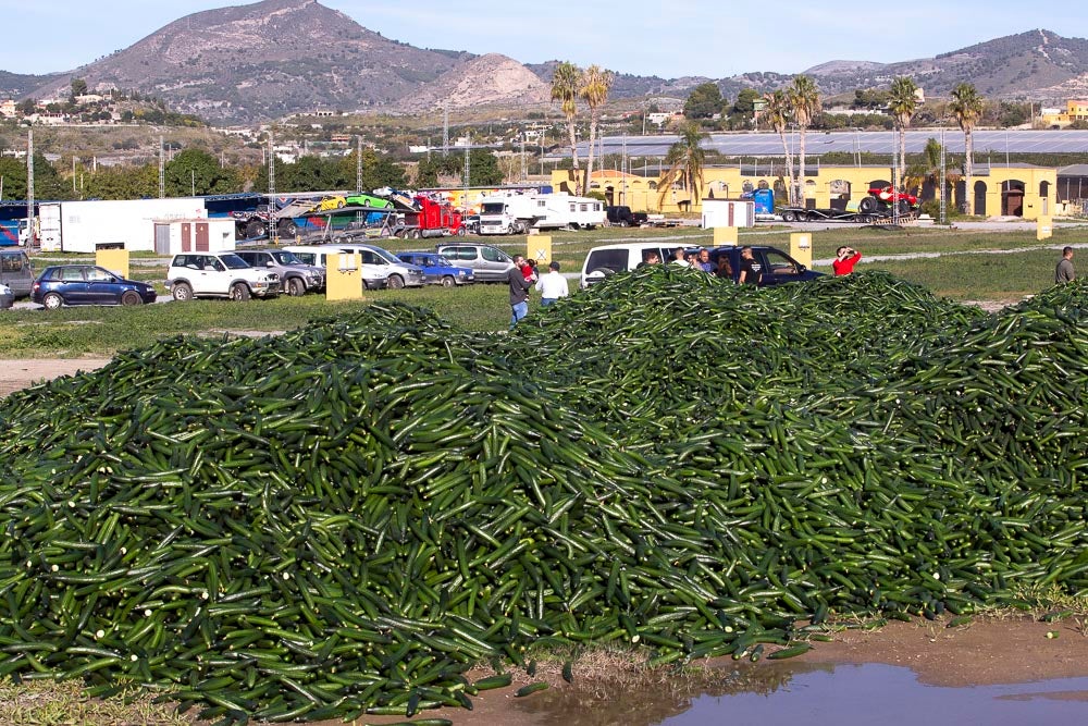 Confían en que la destrucción del producto tenga sus efectos y los precios suban porque ahora «les está costando el dinero» 